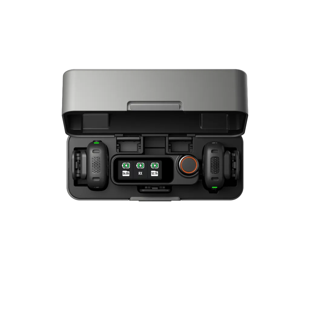 3.webp